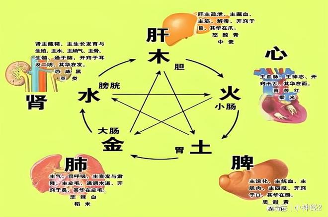 ҽɭΪθøСЧ(ͼ2)
